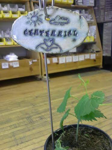 Assorted Gifts - Pottery Hop Plant Marker