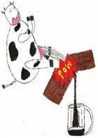 Chocolate Milk Fusion Stout Extract Kit