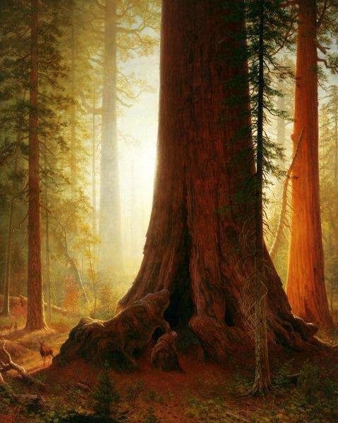 Extract Ale Kits - Sequoia Stout Extract Kit