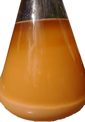 Washing your yeast