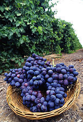 International Grape Juice