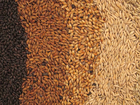 Brewing Ingredients