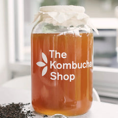 Kombucha Brewing Kit