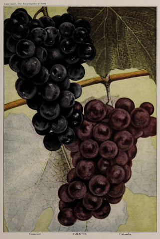 Californian Cabernet Sauvignon Grape Skin Pouch - 5lb