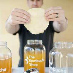 Kombucha Scoby from The Kombucha Shop