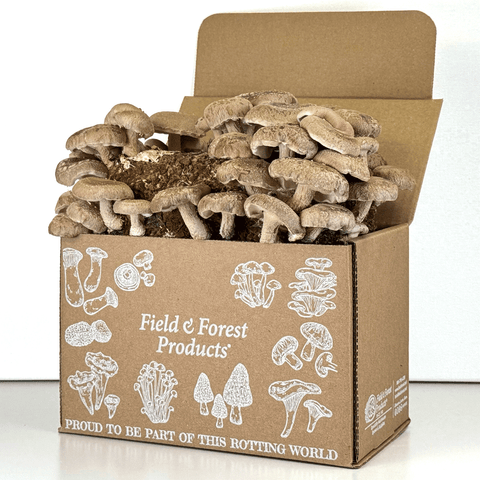 Gourmet Mushroom Grow Kit - Shiitake Table Top Farm