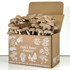 Gourmet Mushroom Grow Kit - Shiitake Table Top Farm