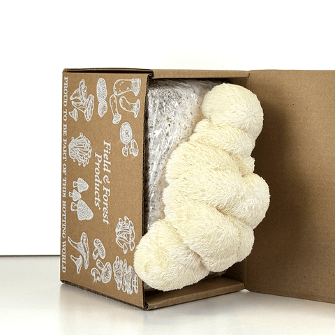 Gourmet Mushroom Grow Kit - Lion's Mane Table Top Farm
