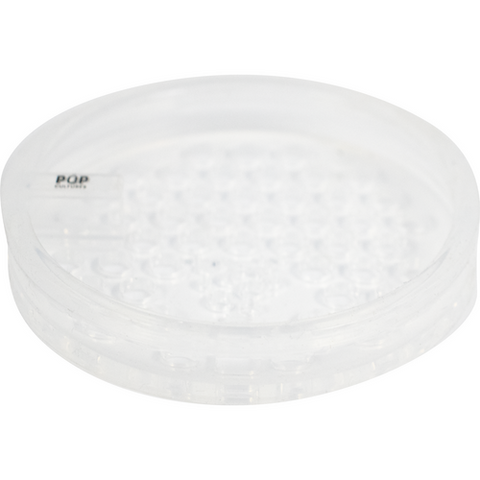 Pop Cultures - Food Fermentation Screen