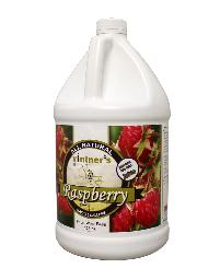 Raspberry Fruit Wine Base 1 gallon (Vintner's Harvest)
