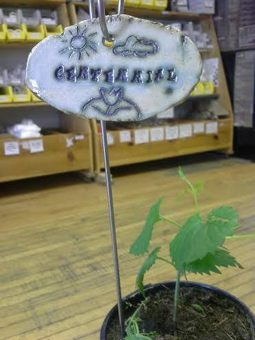 Pottery Hop Plant Marker