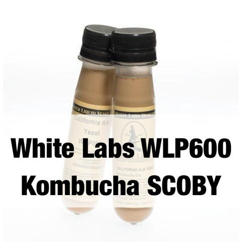WLP600 White Labs Kombucha SCOBY