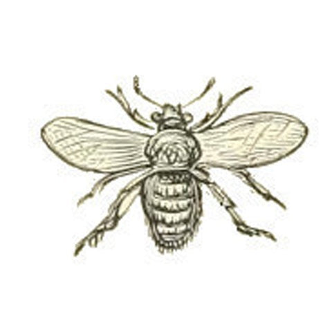 Extract Ale Kits - Honey Wheat Ale Extract Kit