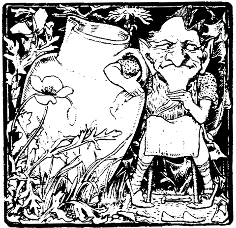 Extract Ale Kits - Legendary Amber Ale Extract Kit