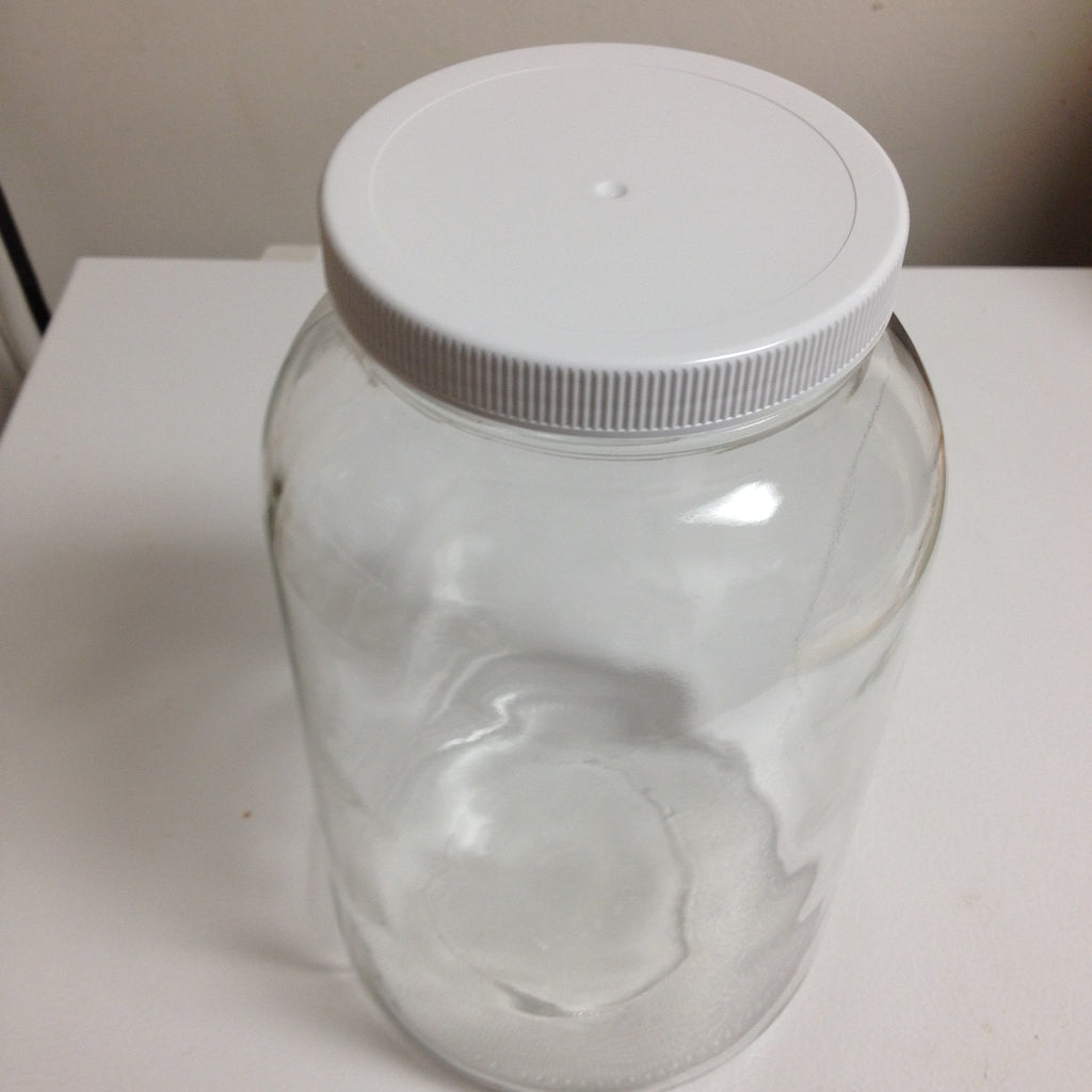 https://wineandhop.com/cdn/shop/products/fermenters-1-gallon-clear-glass-jar-wide-mouth-with-lid-case-of-4-1_1024x1024.JPG?v=1515701050