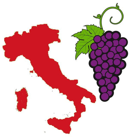 Fruit Puree And Base Concentrates - Italian Red Grape Juice - 6 Gallons