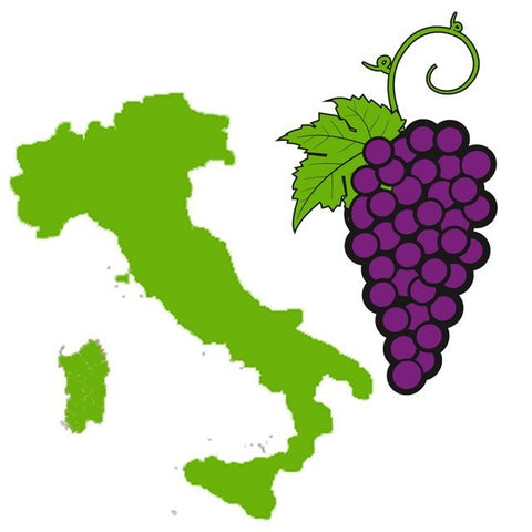 Fruit Puree And Base Concentrates - Italian White Grape Juice - 6 Gallons