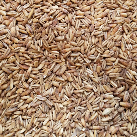 Blonde RoastOat Malt 1 oz (US - Briess)