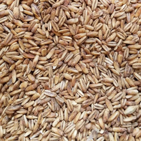 Blonde RoastOat Malt 50 lb (US - Briess)