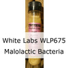 Liquid Wine Yeast - WLP675 White Labs Malolactic Bacteria