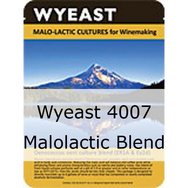 Liquid Wine Yeast - Wyeast 4007 Malolactic Blend