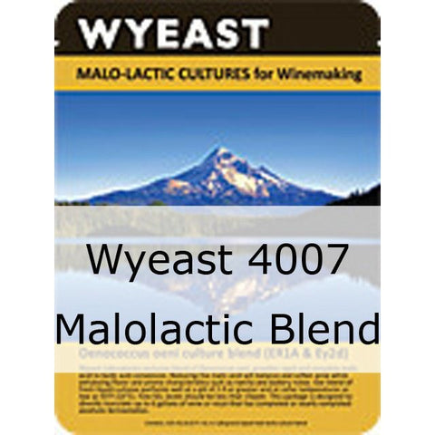 Wyeast 4007 Malolactic Blend
