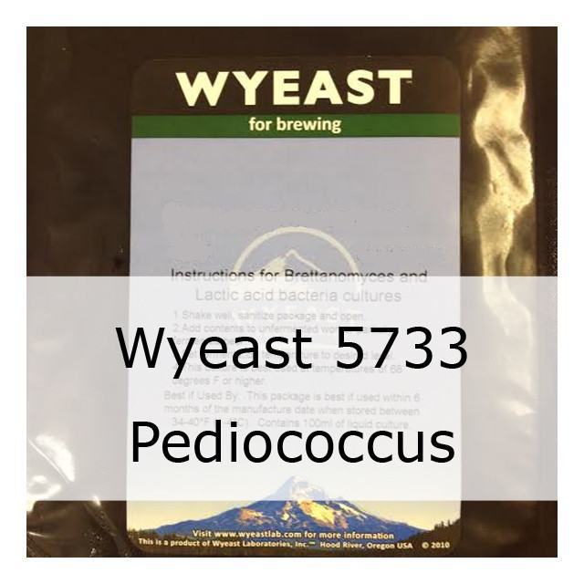 Liquid Yeast - Wyeast 5733 Pediococcus