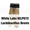 None - WLP672 White Labs Lactobacillus Brevis