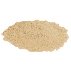 Wine Additives - Yeast Nutrient - Go-Ferm - 100 G